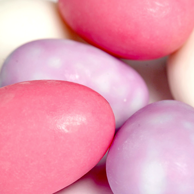 Cinnamon biscuits coated in chocolate